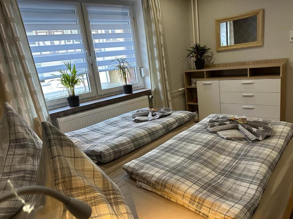 Christels Ferienwohnung 2 In Thale Mit Ueberdachter Terrasse, Kueche Mit Tv & Geschirrspueler Екстер'єр фото